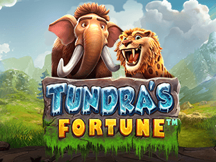 ٹنڈراز فورچیون thumbnail